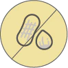 nuts icon