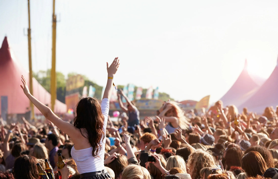 concert crowd on festival